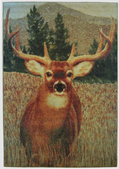 Monster Buck WC9468